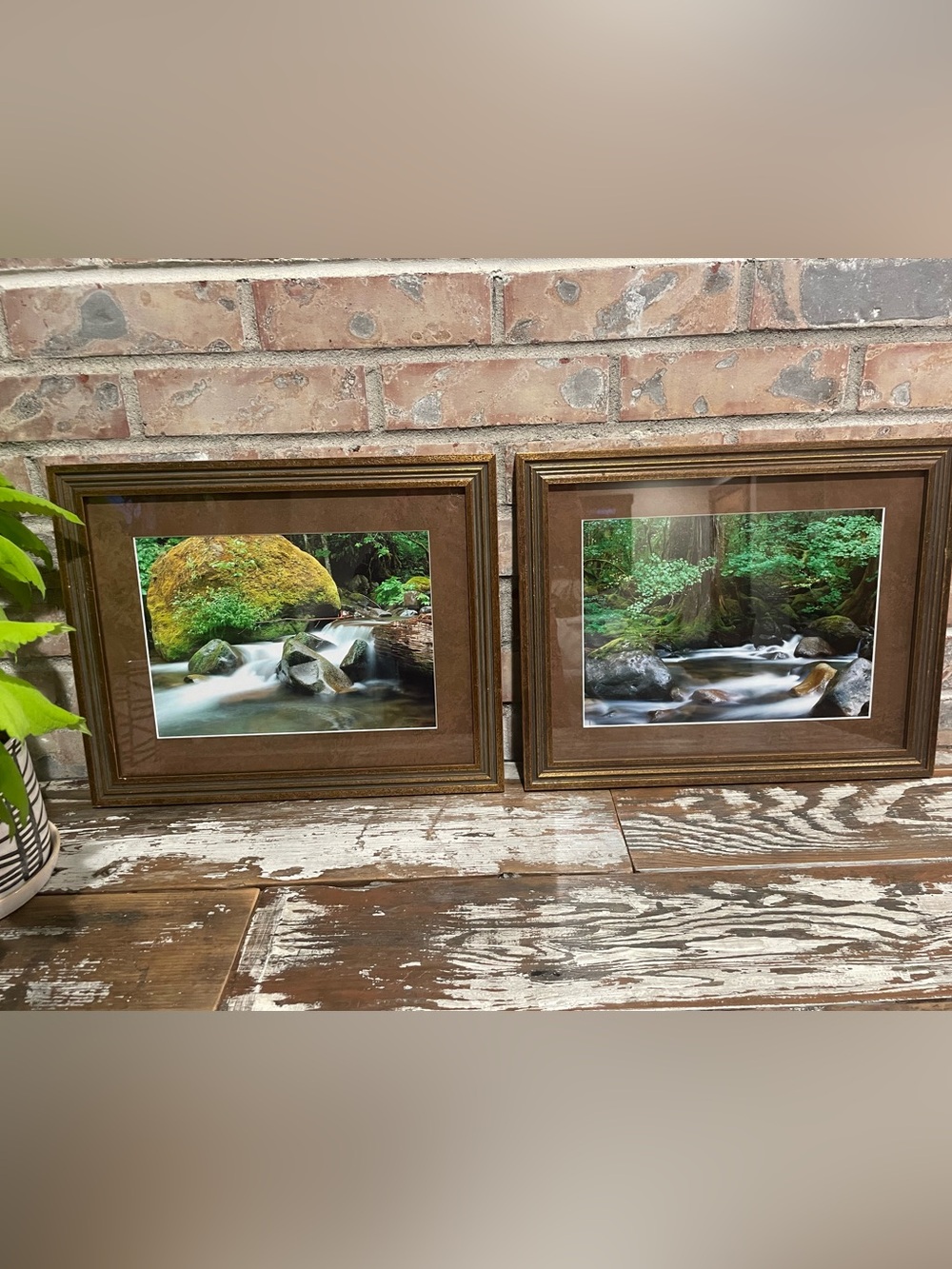Beautiful Pacific Northwest Framed Nature Prints